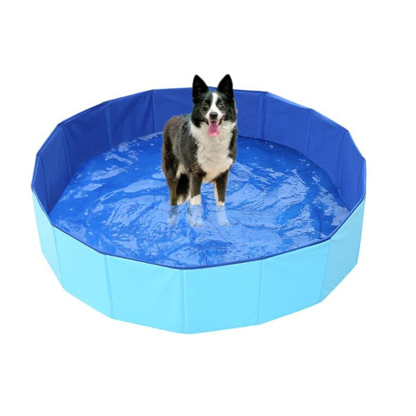 Piscina Resistente Para Pet